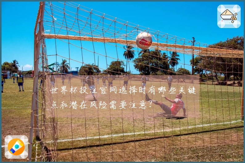 世界杯投注官网选择时有哪些关键点和潜在风险需要注意？