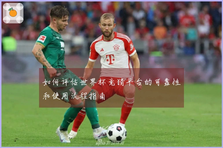 如何评估世界杯竞猜平台的可靠性和使用流程指南