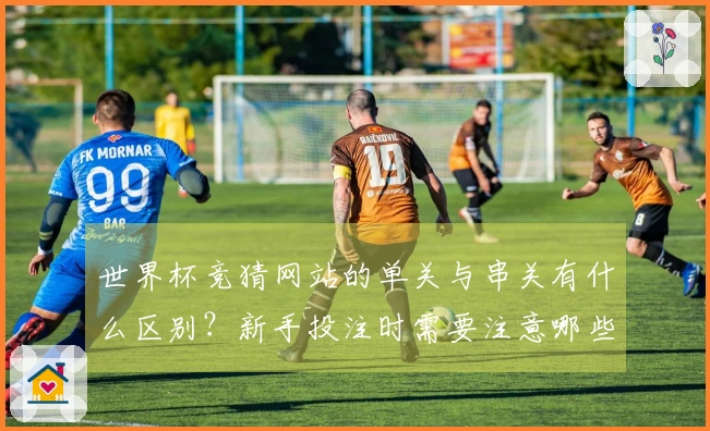 世界杯竞猜网站的单关与串关有什么区别？新手投注时需要注意哪些陷阱？
