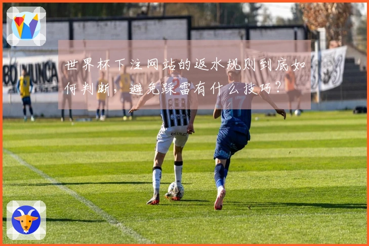 世界杯下注网站的返水规则到底如何判断，避免踩雷有什么技巧？