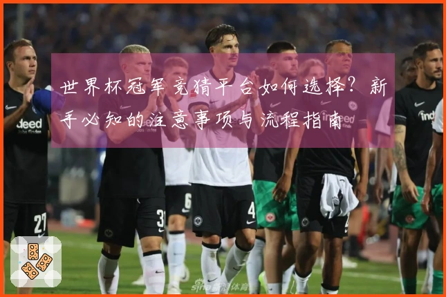 世界杯冠军竞猜平台如何选择？新手必知的注意事项与流程指南