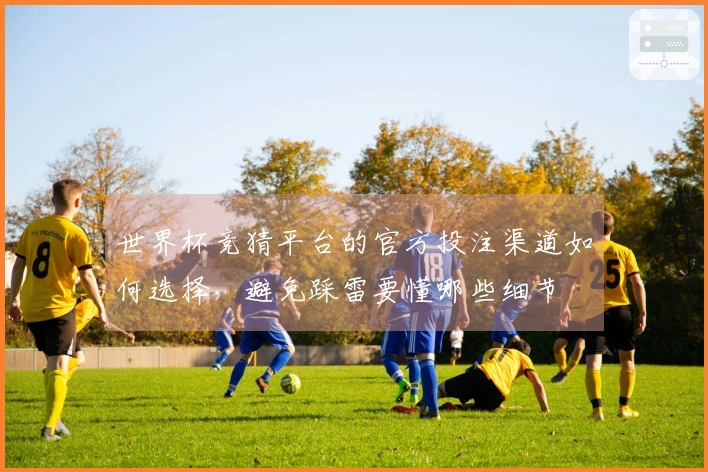 世界杯竞猜平台的官方投注渠道如何选择，避免踩雷要懂哪些细节