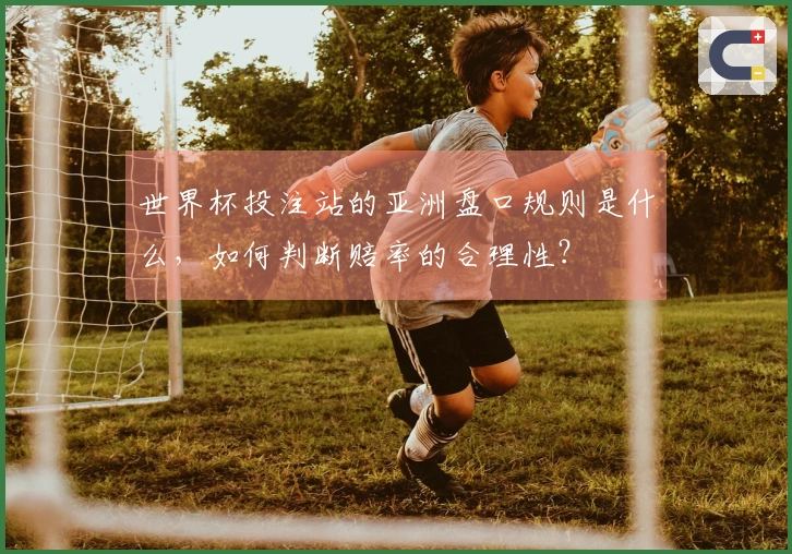 世界杯投注站的亚洲盘口规则是什么，如何判断赔率的合理性？