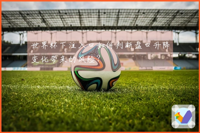 世界杯下注入口如何判断盘口升降变化带来的风险？