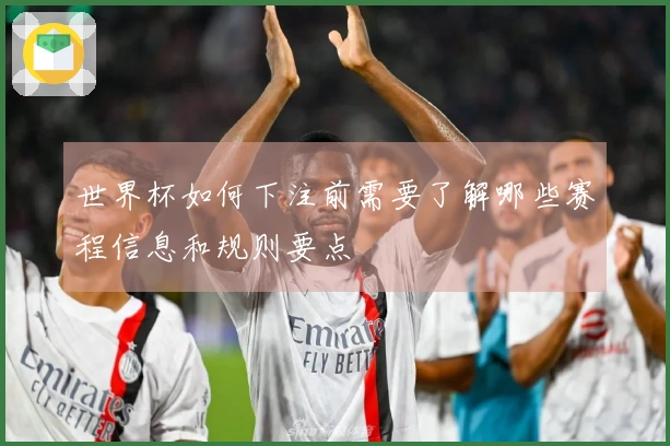 世界杯如何下注前需要了解哪些赛程信息和规则要点