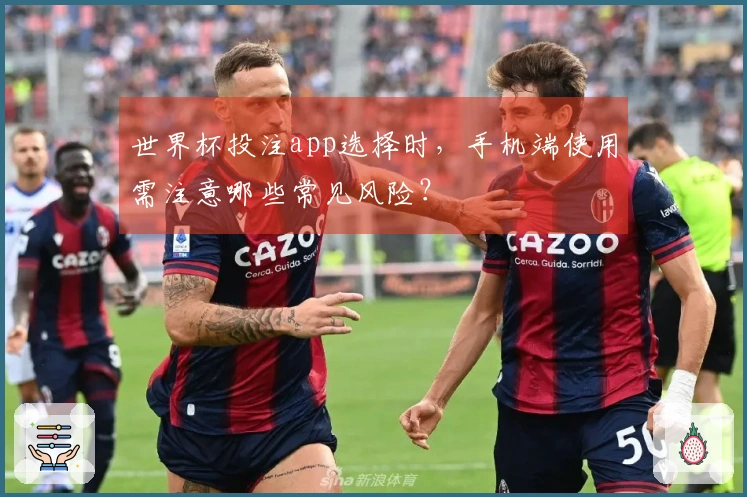世界杯投注app选择时，手机端使用需注意哪些常见风险？