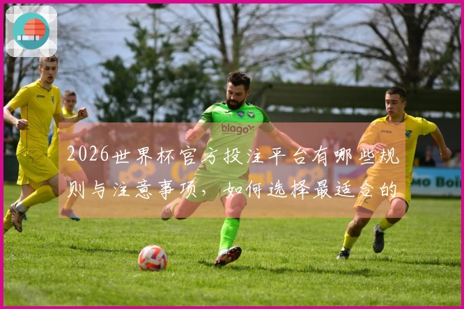 2026世界杯官方投注平台有哪些规则与注意事项，如何选择最适合的下注方式？
