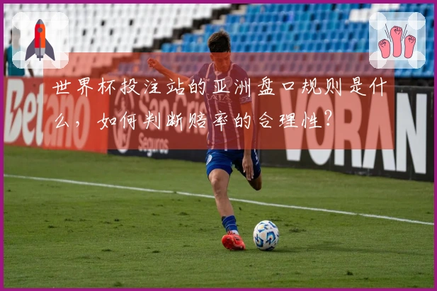 世界杯投注站的亚洲盘口规则是什么，如何判断赔率的合理性？