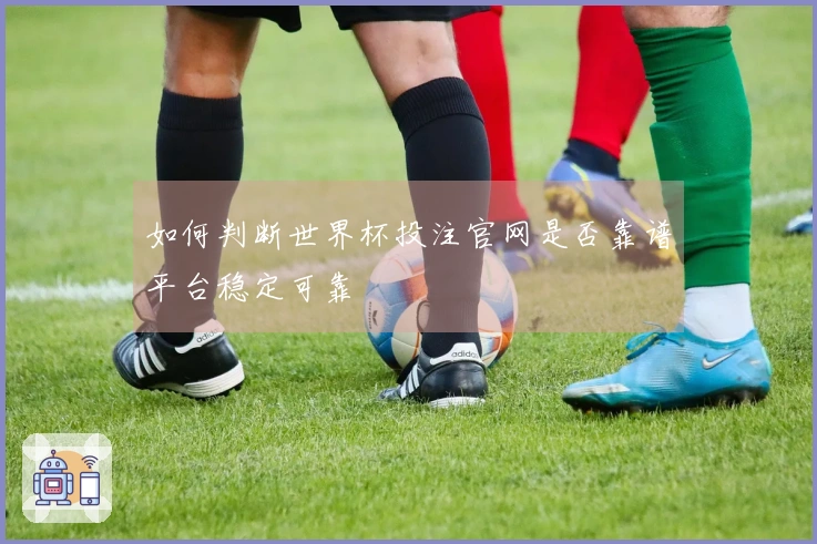 如何判断世界杯投注官网是否靠谱平台稳定可靠