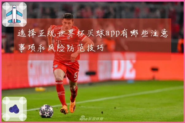 选择正规世界杯买球app有哪些注意事项和风险防范技巧