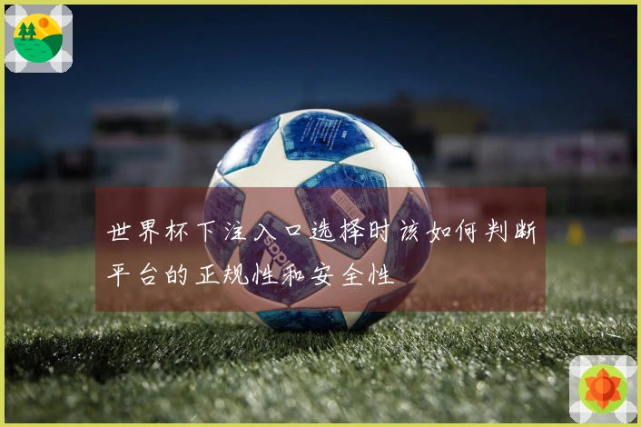 世界杯下注入口选择时该如何判断平台的正规性和安全性