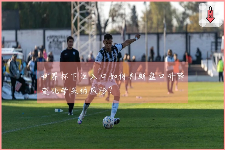 世界杯下注入口如何判断盘口升降变化带来的风险？