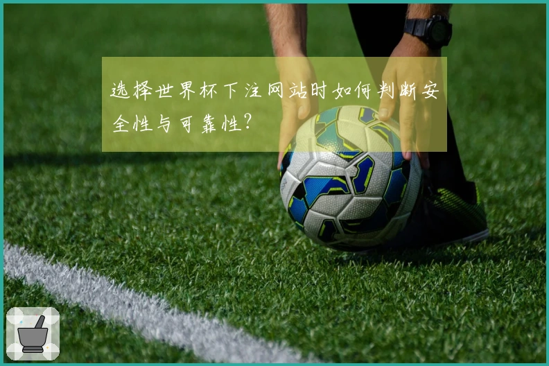 选择世界杯下注网站时如何判断安全性与可靠性？