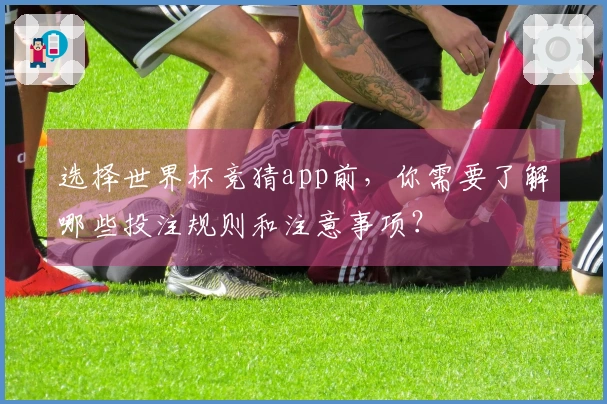 选择世界杯竞猜app前，你需要了解哪些投注规则和注意事项？