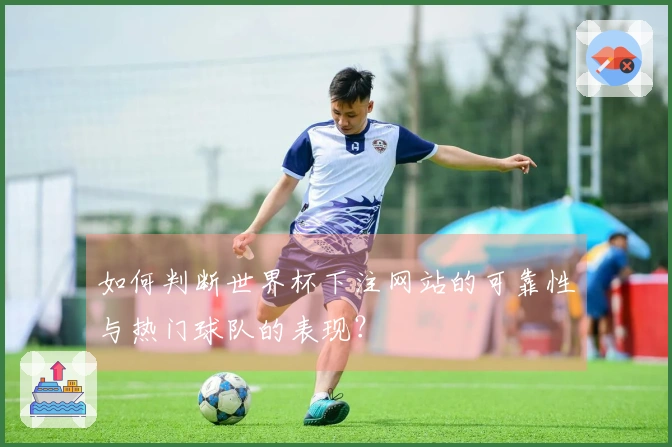 如何判断世界杯下注网站的可靠性与热门球队的表现？