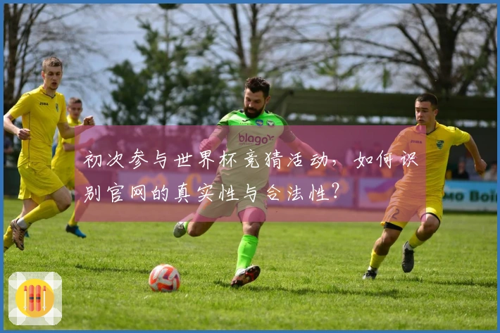 初次参与世界杯竞猜活动，如何识别官网的真实性与合法性？