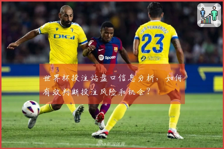 世界杯投注站盘口信息分析，如何有效判断投注风险和机会？
