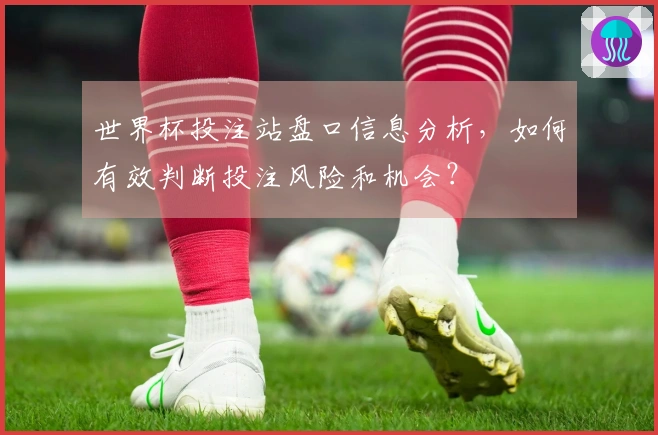 世界杯投注站盘口信息分析，如何有效判断投注风险和机会？