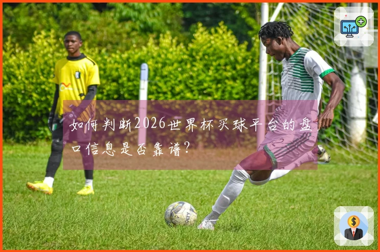 如何判断2026世界杯买球平台的盘口信息是否靠谱？