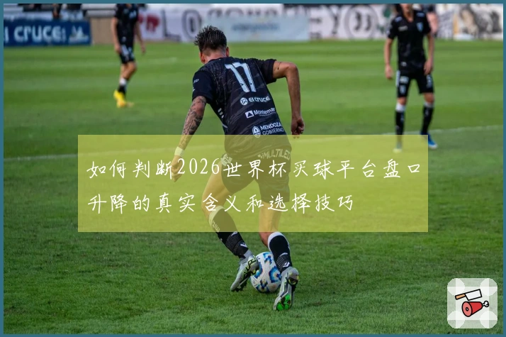 如何判断2026世界杯买球平台盘口升降的真实含义和选择技巧