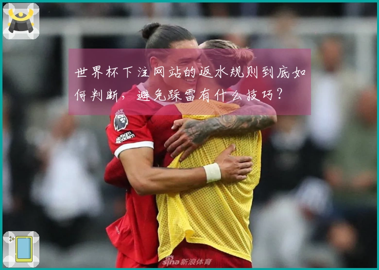 世界杯下注网站的返水规则到底如何判断，避免踩雷有什么技巧？