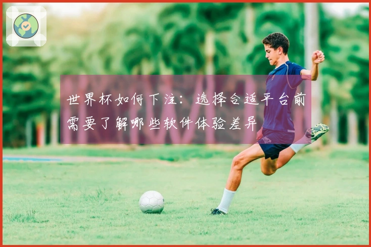 世界杯如何下注：选择合适平台前需要了解哪些软件体验差异