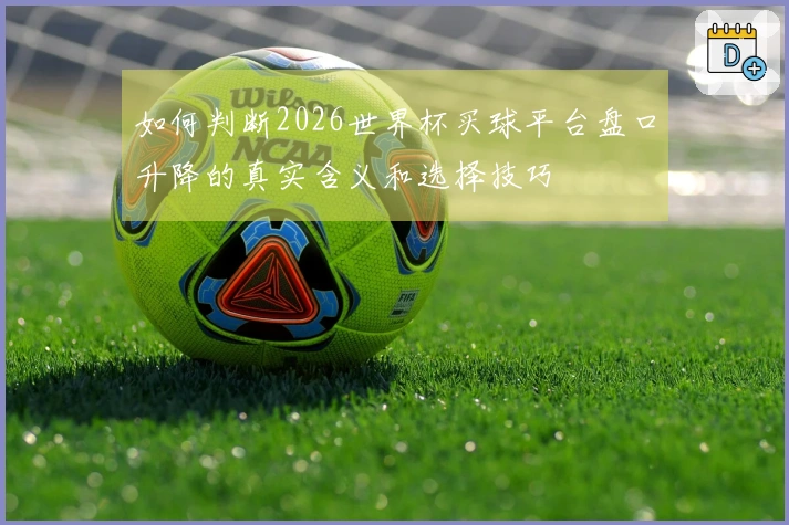 如何判断2026世界杯买球平台盘口升降的真实含义和选择技巧