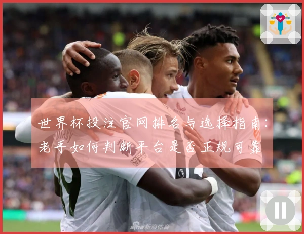 世界杯投注官网排名与选择指南：老手如何判断平台是否正规可靠