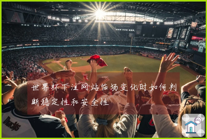 世界杯下注网站临场变化时如何判断稳定性和安全性
