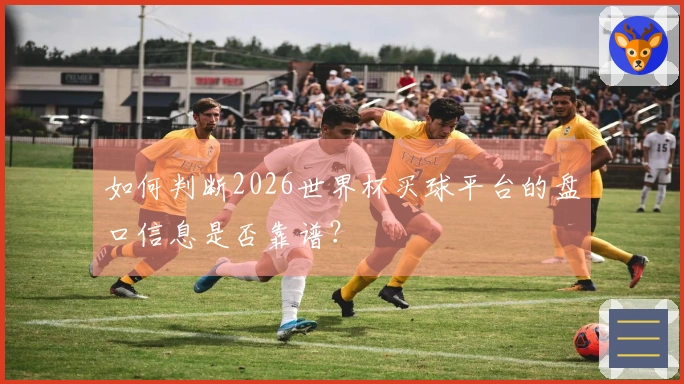 如何判断2026世界杯买球平台的盘口信息是否靠谱？