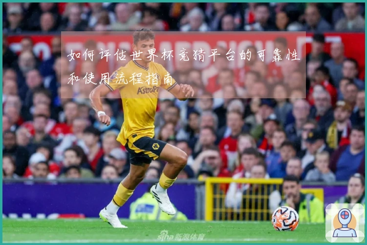 如何评估世界杯竞猜平台的可靠性和使用流程指南
