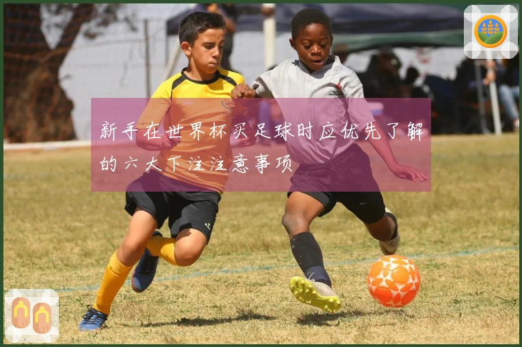 新手在世界杯买足球时应优先了解的六大下注注意事项
