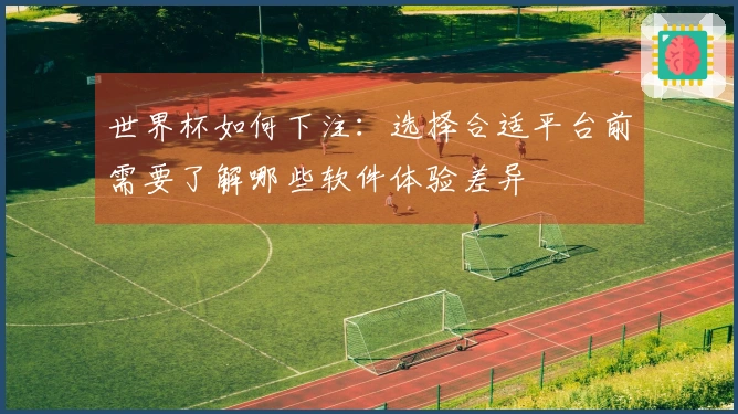 世界杯如何下注：选择合适平台前需要了解哪些软件体验差异