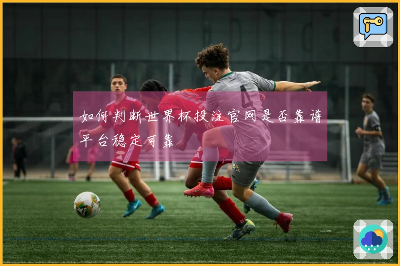 如何判断世界杯投注官网是否靠谱平台稳定可靠