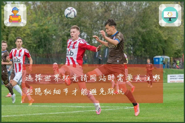 选择世界杯竞猜网站时需要关注哪些隐秘细节才能避免踩坑
