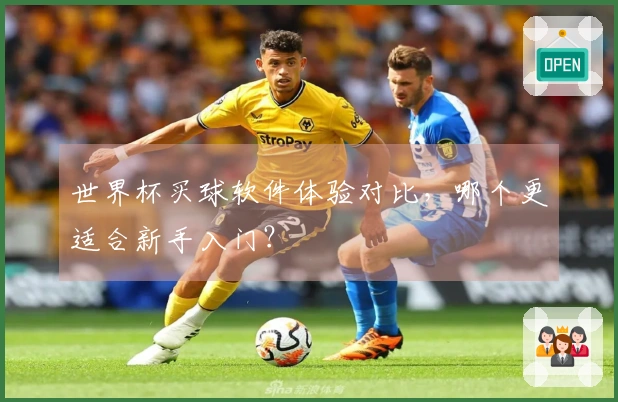 世界杯买球软件体验对比，哪个更适合新手入门？