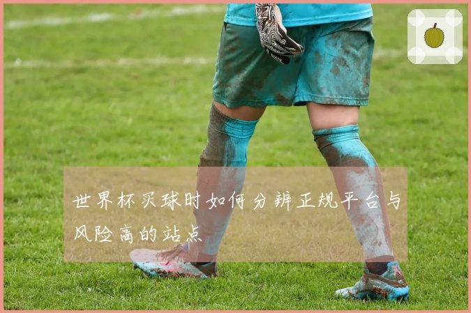 世界杯买球时如何分辨正规平台与风险高的站点