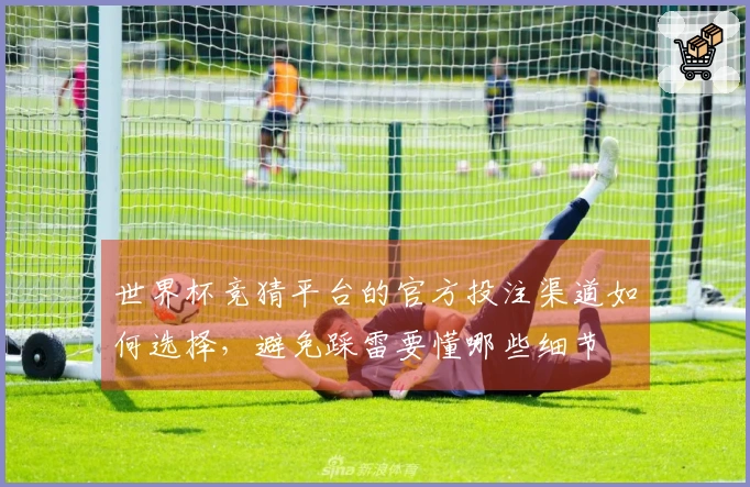 世界杯竞猜平台的官方投注渠道如何选择，避免踩雷要懂哪些细节