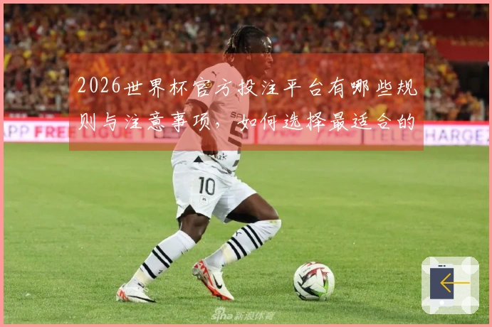 2026世界杯官方投注平台有哪些规则与注意事项，如何选择最适合的下注方式？