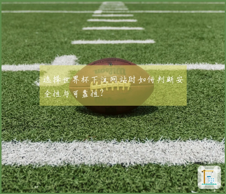 选择世界杯下注网站时如何判断安全性与可靠性？