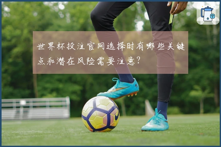 世界杯投注官网选择时有哪些关键点和潜在风险需要注意？